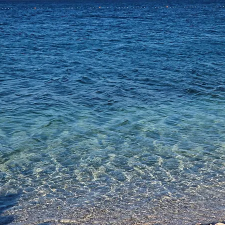 Jela * Trogir